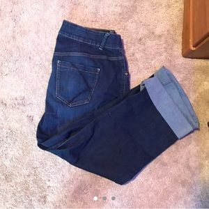 Lane Bryant Stretchy Denim pants